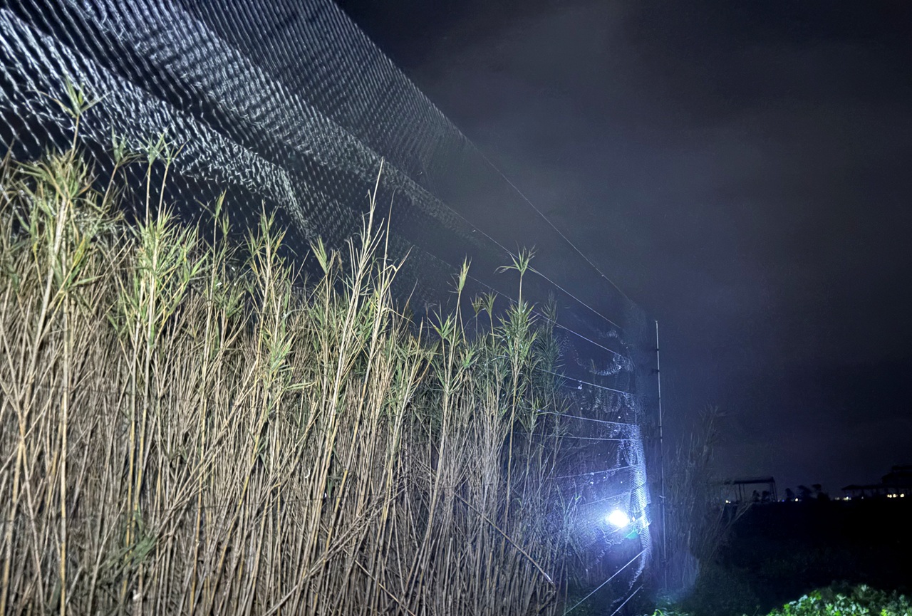 Cyprus: Once again this year, the winter culling of song thrus - Bild 3